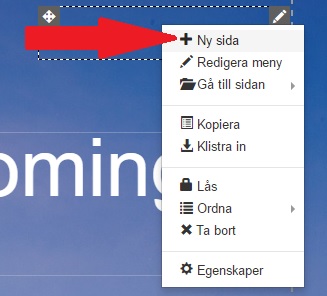 Sidbyggare - Ny sida